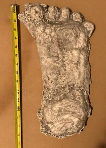 1990 Bigfoot Mount Rainier Mt. Rainier Track Cast footprint replica