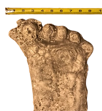 Load image into Gallery viewer, 1990 Bigfoot Mount Rainier Mt. Rainier Track Cast footprint replica