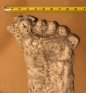 1990 Bigfoot Mount Rainier Mt. Rainier Track Cast footprint replica