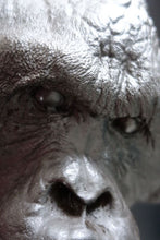 Laden Sie das Bild in den Galerie-Viewer, Orangutan Bone Clones