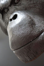 Laden Sie das Bild in den Galerie-Viewer, Orangutan Bone Clones