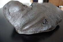 Laden Sie das Bild in den Galerie-Viewer, Orangutan Bone Clones