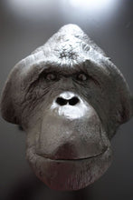 Laden Sie das Bild in den Galerie-Viewer, Orangutan Bone Clones