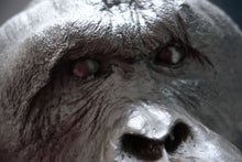 Laden Sie das Bild in den Galerie-Viewer, Orangutan Bone Clones