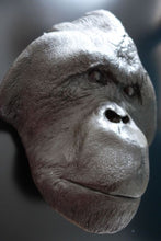 Laden Sie das Bild in den Galerie-Viewer, Orangutan Bone Clones