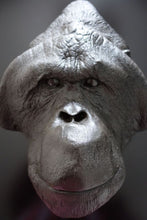 Laden Sie das Bild in den Galerie-Viewer, Orangutan Bone Clones