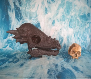 Pachycephalosaurus skull cast replica