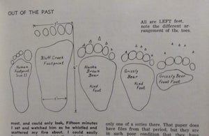 Grizzly Bear Track #4 Front Footprint Track Cast Replica Left Foot from a Grizzly Bear Track Preproduction