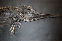 Load image into Gallery viewer, Replica Fossil Ichyosaurus skeleton cast 42 inches long replica (TMF ICHTY )