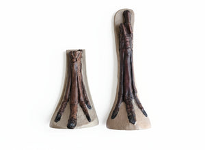 Horse legs and hooves cast replicas (Teaching quality) painted