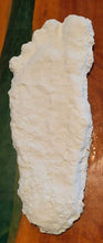 Load image into Gallery viewer, 2008 Bigfoot print cast from Yosemite National Park 2008 Yosemite Bigfoot cast replica
