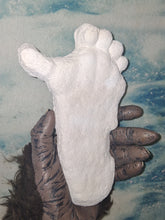 Load image into Gallery viewer, 1962 Bigfoot Loren Coleman Decatur Illinois Sasquatch track cast replica