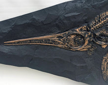 Load image into Gallery viewer, Ichyosaurus skeleton cast 57 inches long replica (TMF ICHTY 57")