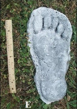 Load image into Gallery viewer, 1982 Grays Harbor Hereford Bigfoot print cast &quot;E&quot;