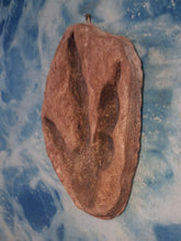 Laden Sie das Bild in den Galerie-Viewer, Dinosaur Large Footprint Track Cast Replica Carnosaur Jurassic Virginia replica Theropod Grallator