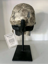 Load image into Gallery viewer, KNM-ER 1813

Homo habilis cast replica Full-size Bone Clones 2026