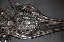 Load image into Gallery viewer, Replica Fossil Ichyosaurus skeleton cast 42 inches long replica (TMF ICHTY )