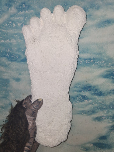 2015 Stomping Ground Bigfoot Foot cast