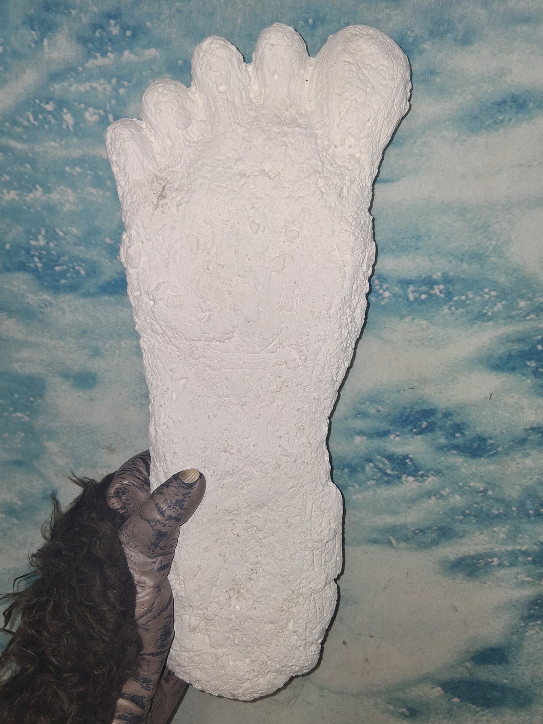 2015 Stomping Ground Bigfoot Foot cast