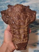 Charger l&#39;image dans la galerie, Pawpawsaurus Nodosaurid Ankylosaur skull (lacking mandible) Dinosaur Ankylosaurus skull cast replica