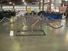 Charger l'image dans la galerie, Dinosaur rental package #2026