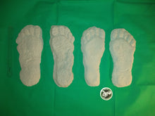 Load image into Gallery viewer, 1982 Grays Harbor Hereford Bigfoot print cast &quot;B&quot;