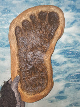 Charger l&#39;image dans la galerie, 1983 Bigfoot Grover Krantz LIMITED EDITION TRACK CAST Sasquatch footprint cast