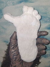 Load image into Gallery viewer, 1962 Bigfoot Loren Coleman Decatur Illinois Sasquatch track cast replica