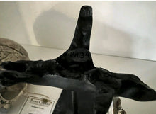 Load image into Gallery viewer, KNM-ER 1813

Homo habilis cast replica Full-size Bone Clones 2026