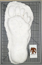 Load image into Gallery viewer, 1982 Grays Harbor Hereford Bigfoot print cast &quot;E&quot;
