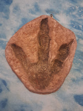 Laden Sie das Bild in den Galerie-Viewer, Dinosaur Large Footprint Track Cast Replica Carnosaur Jurassic Virginia replica Theropod Grallator