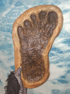 1983 Bigfoot Grover Krantz LIMITED EDITION TRACK CAST Sasquatch footprint cast