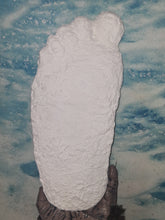Load image into Gallery viewer, 1963 (1967?) Pat Graves Bigfoot track cast Patterson - (formerly Gimlin E cast)