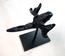 Charger l'image dans la galerie, Human Male Australian Aboriginal Skull Painted
BC-031P Bone Clones (2026)