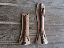 Load image into Gallery viewer, Horse legs and hooves cast replicas (Teaching quality) painted