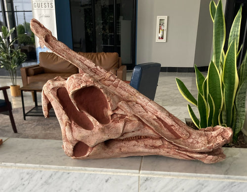Saurolophus skull cast replica