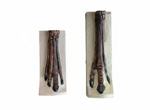 Load image into Gallery viewer, Horse legs and hooves cast replicas (Teaching quality) painted