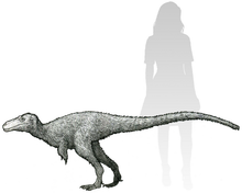 Charger l'image dans la galerie, Dinosaur rental package #June 2026