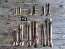 Load image into Gallery viewer, Horse legs and hooves cast replicas (Teaching quality) painted