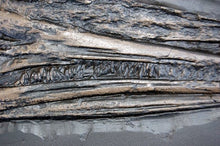 Load image into Gallery viewer, Ichyosaurus skeleton cast 48 inches long replica (TMF ICHTY 48")