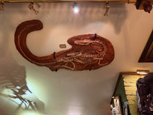 画像をギャラリービューアに読み込む, Coelophysis skeleton cast replica