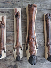 Load image into Gallery viewer, Horse legs and hooves cast replicas (Teaching quality) painted