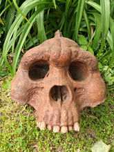 Load image into Gallery viewer, Bigfoot Skull Cast Artistic Interpretation by Master artist ( top of skull only).