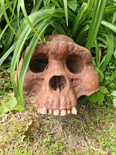 Load image into Gallery viewer, Bigfoot Skull Cast Artistic Interpretation by Master artist ( top of skull only).