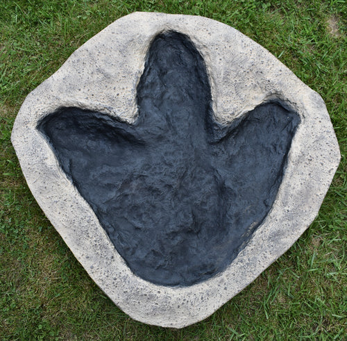 Tyrannosaurus Rex T.rex footprint track cast replica #2 T-rex