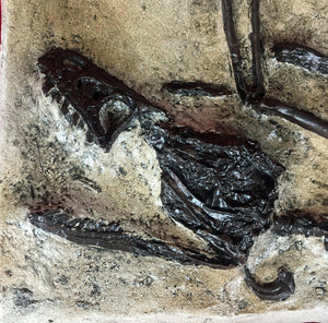 Bambiraptor feinbergi, insitu skeletonf, cast replica