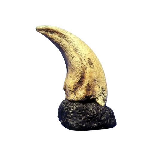 T.rex Claw 6.2