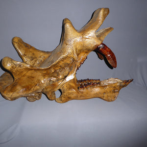 Uintatherium Teeth Cast Replica