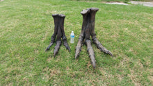画像をギャラリービューアに読み込む, Tinker Juvenile Tyrannosaurus Rex T.rex foot cast replica T-rex