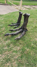 画像をギャラリービューアに読み込む, Tinker Juvenile Tyrannosaurus Rex T.rex foot cast replica T-rex
